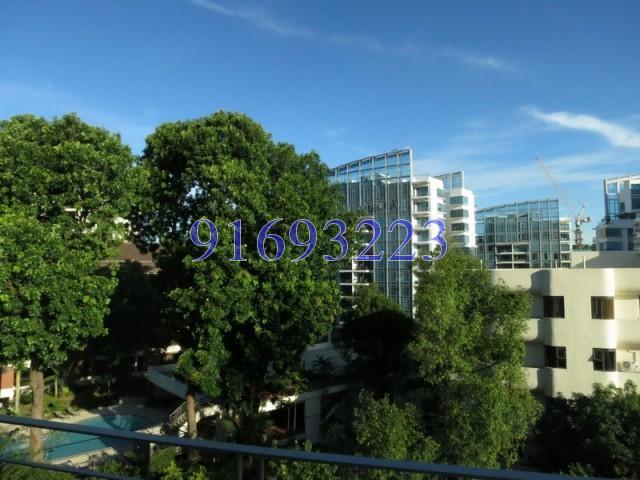 The Levelz (D10), Condominium #161503772